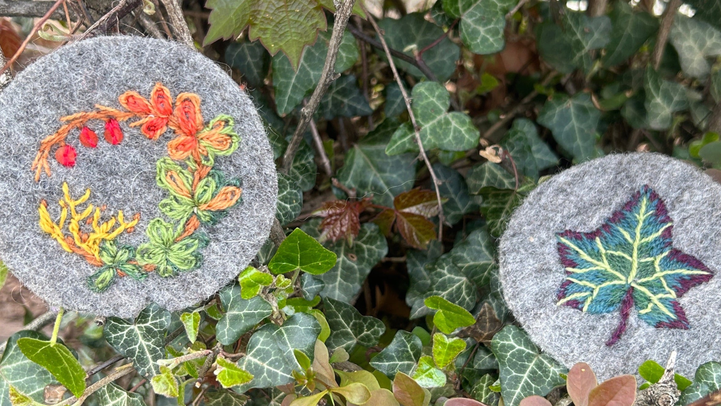 Two round embroidered badges, one of Japanese barberry, one of English ivy, stuck into the their respective greenery.