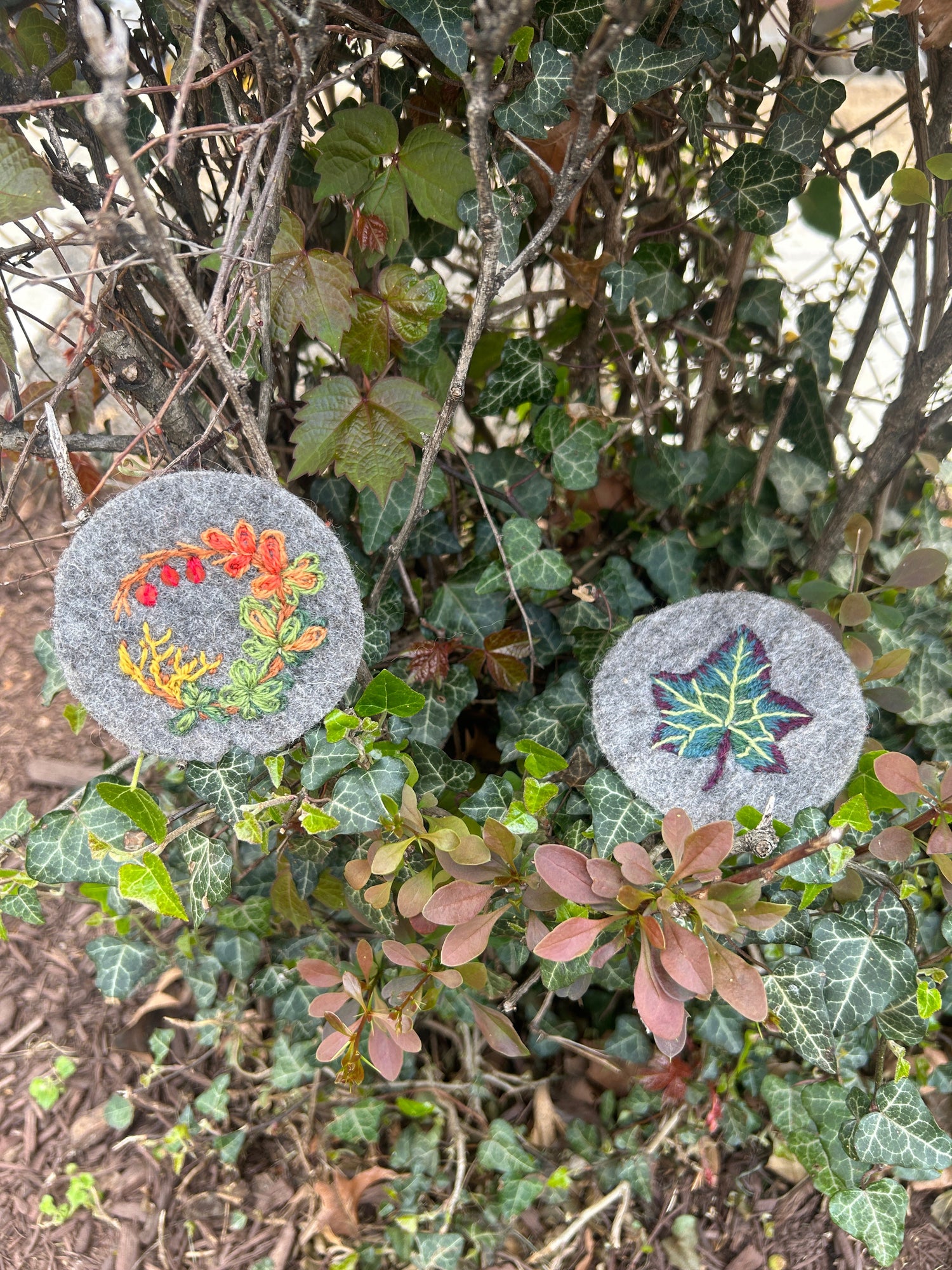 Two woolen embroidered badges, one showing Japanese Barberry one showing English Ivy sitting on top of an English Ivy plant attacking a Barberry bush