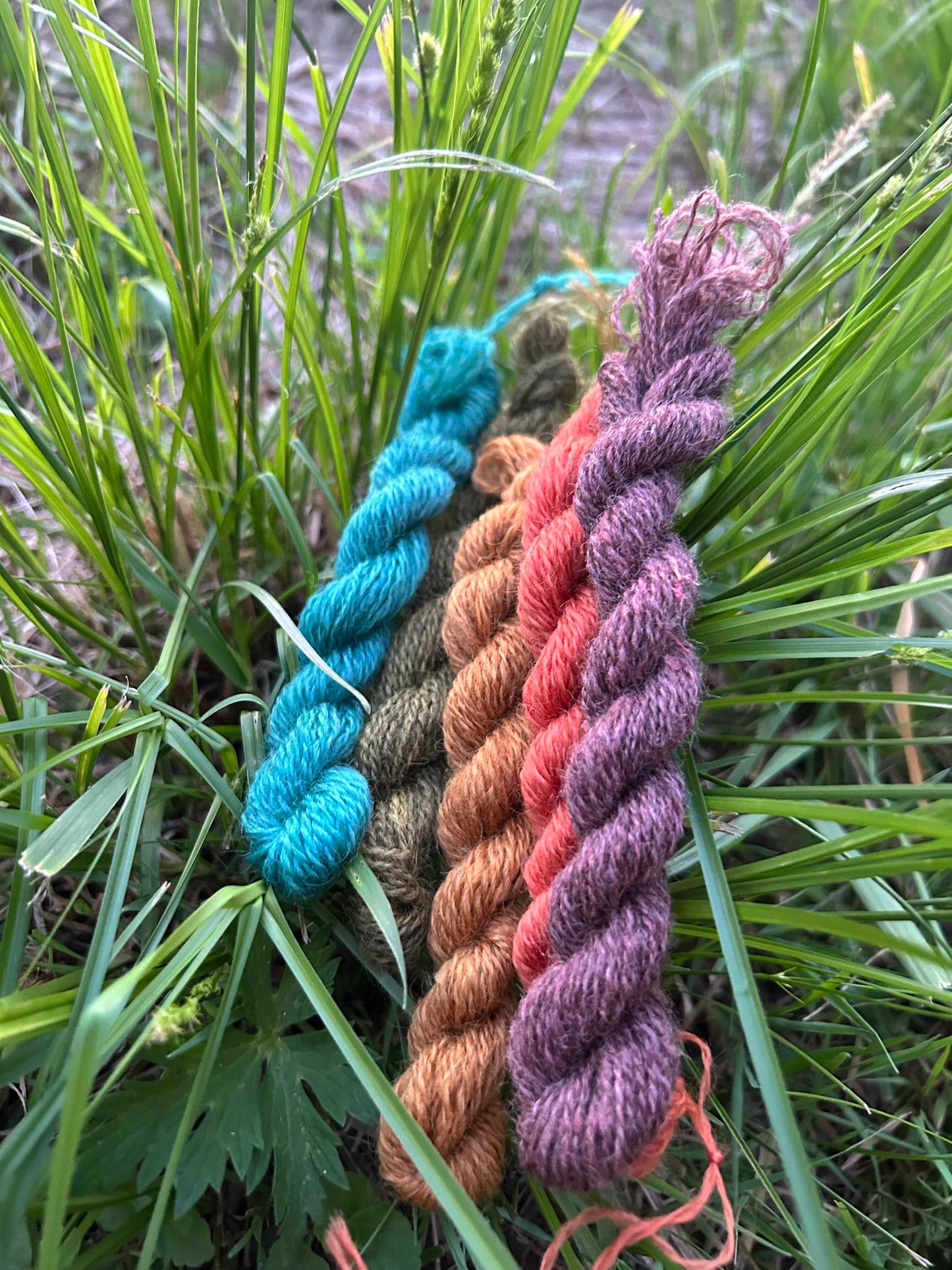 Five twisted embroidery floss skeins in turquoise, olive-brown, rust orange, salmon and dusty mauve are laid on green mace sedge outside in the evening light.