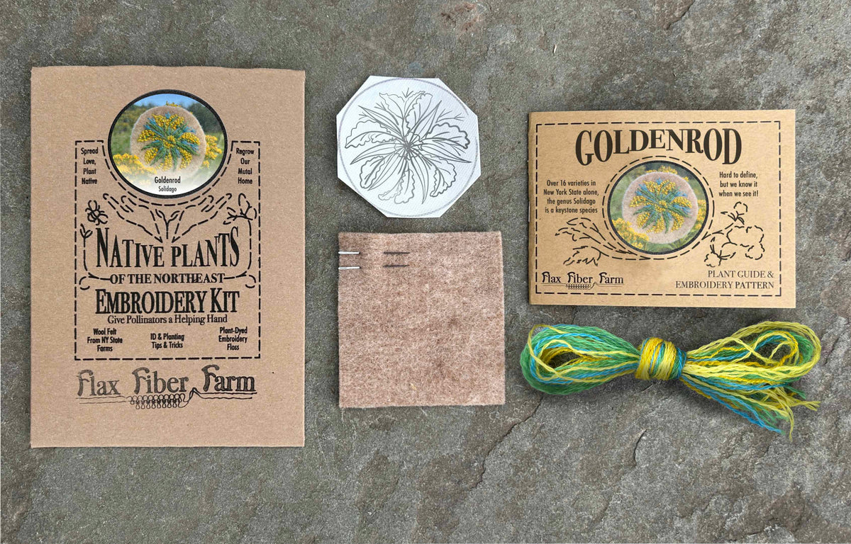 A goldenrod embroidery kit laid out on a gray stone surface, including a brown envelope  labeled Native Plants of the Northeast Embroidery Kit, a white floral embroidery pattern transfer sticker, a small beige felt square, an instruction booklet and a bundle of thread in green, yellow, and blue. 