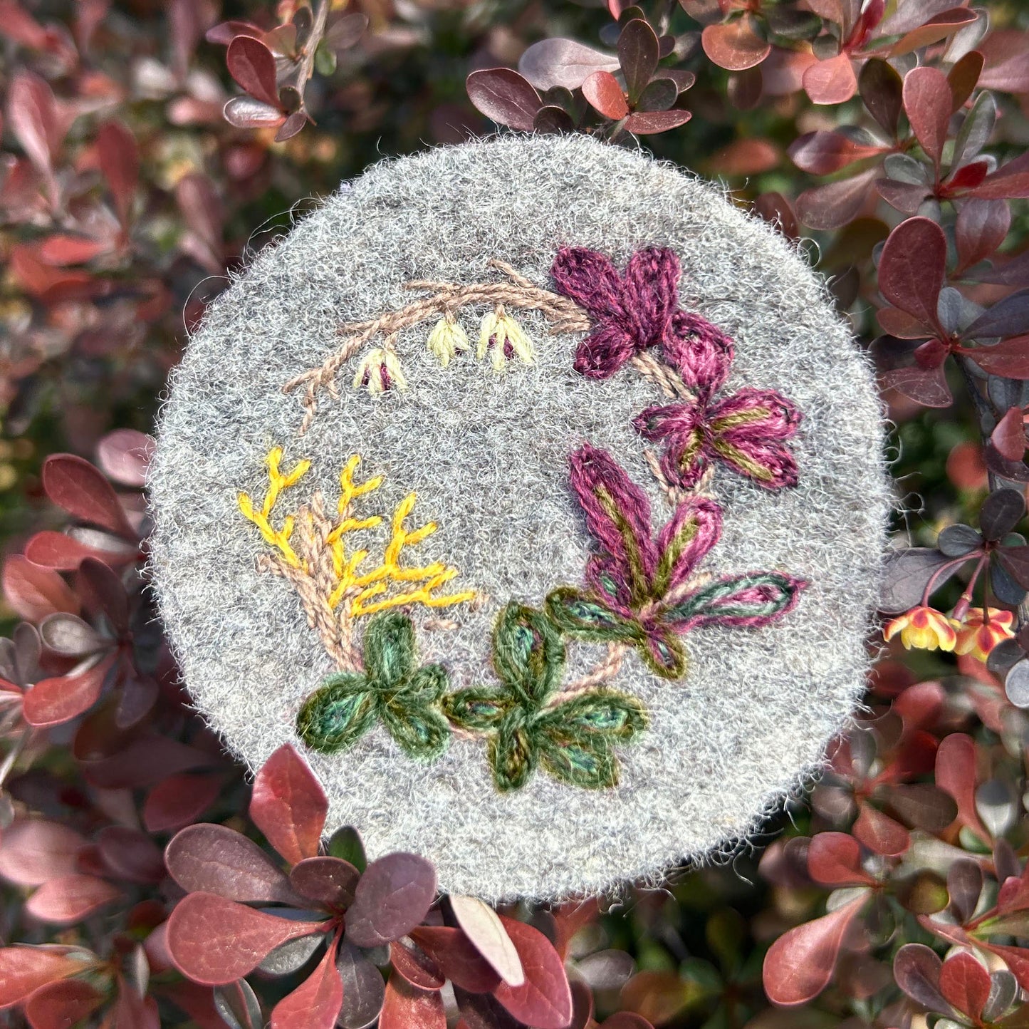 Purple Japanese Barberry Embroidery Kit
